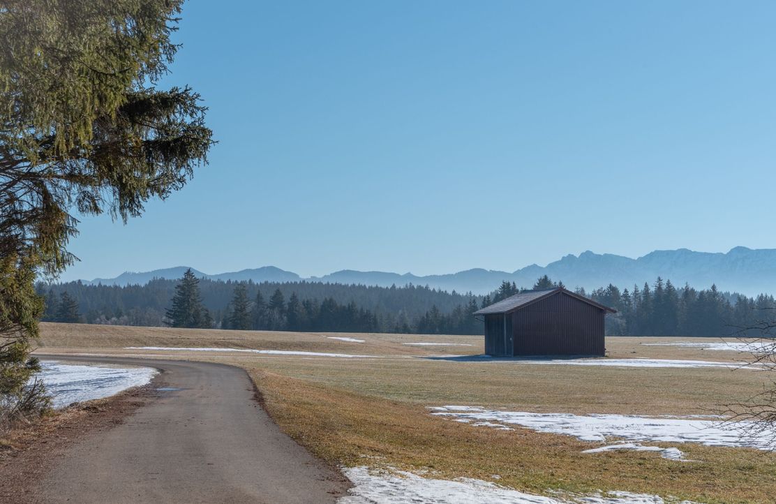 Breiter Teerweg am Waldrand entlang von Feldern mit traumhaften Bergpanorama.