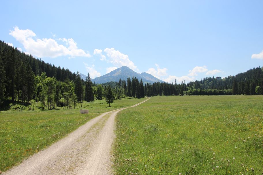 Wandern und Mountainbiken bei der Kalbelehof Alpe