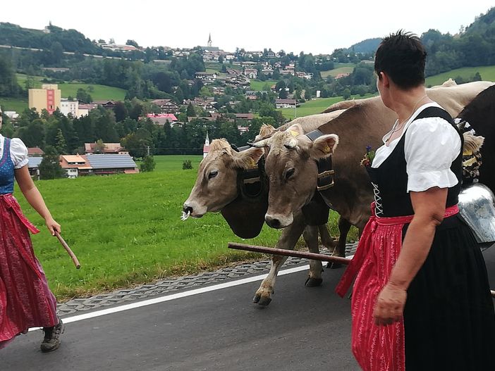Almabtrieb