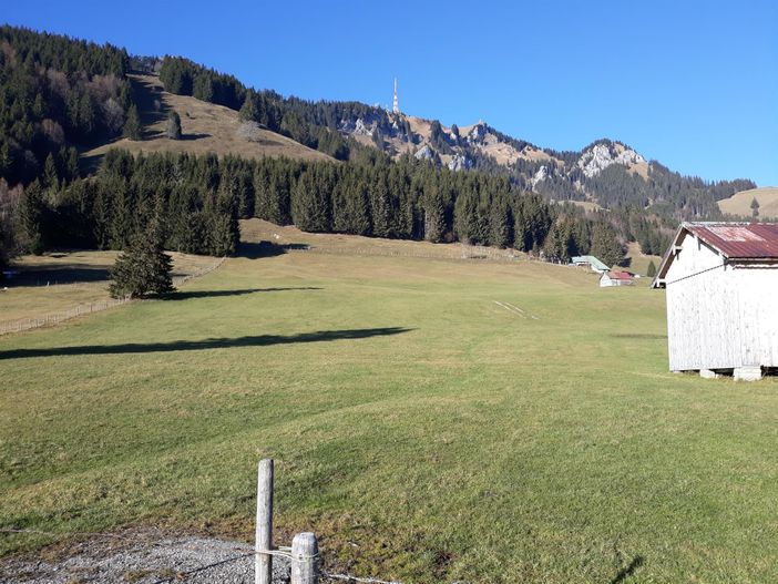 Grünten Blick auf Felsen