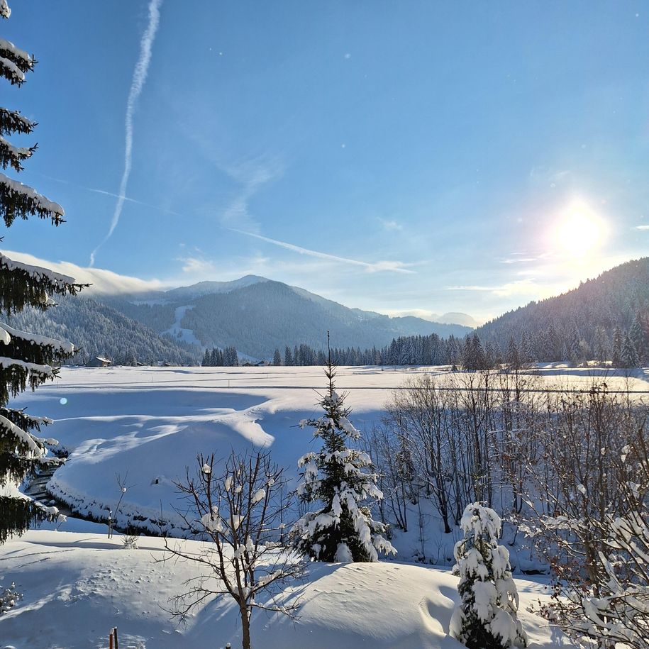 Winter2024 Balderschwang