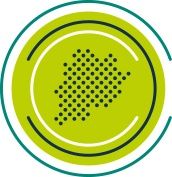 Bad Wurzach | Wanderweg Nr. 1 – Moor-Weg – Ried pur erleben