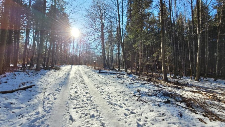 Vogellehrpfad Friesenried