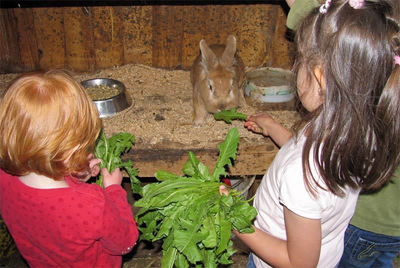 Kinderspaß