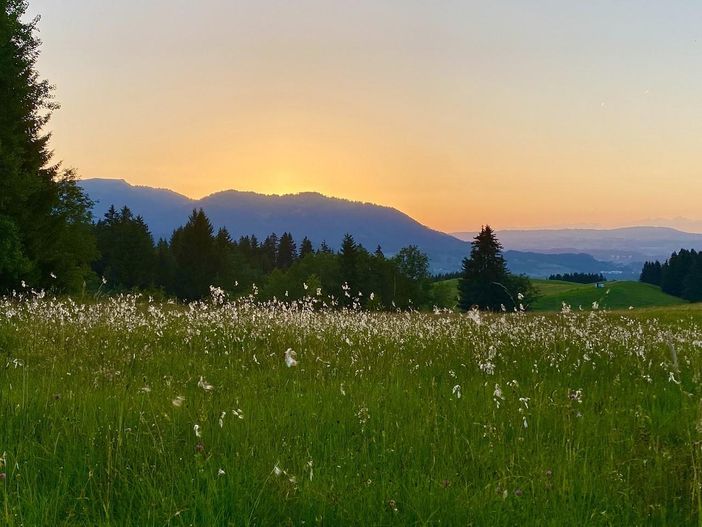 Abendstimmung oberhalb von Hofen