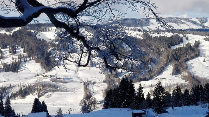 Winterlandschaft