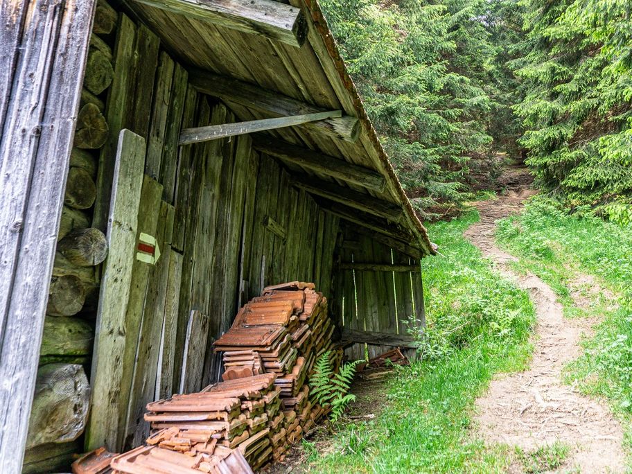 Waldpfad zur Edelsberghütte