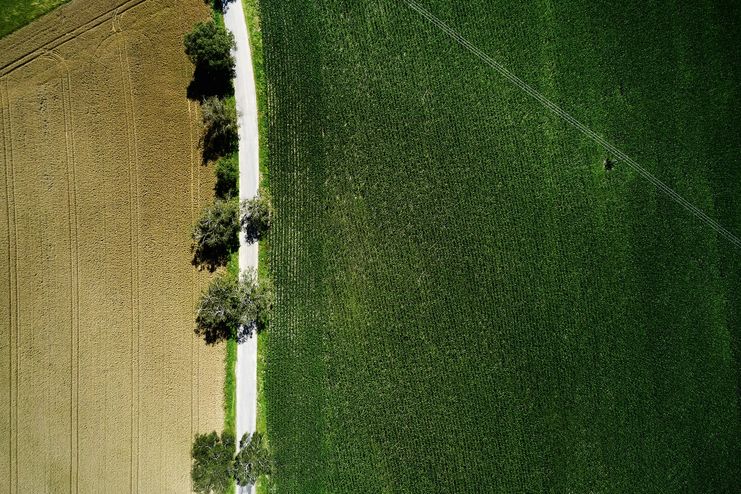 Glückswege - Erkheim - Glücksbaum-Pfad - Wald atmen