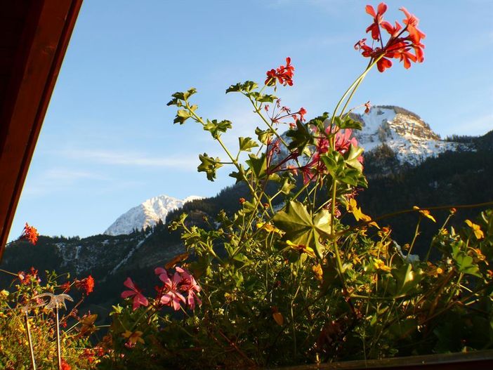 FW Sina Blick vom Balkon