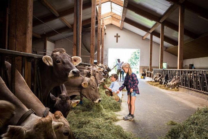 Gerne darf bei der Stallarbeit mitgeholfen werden