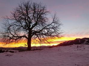 Morgenstimmung