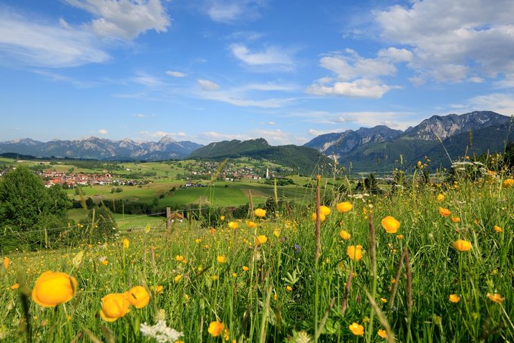 Ausblick vom Bergwiesenpfad auf Pfronten