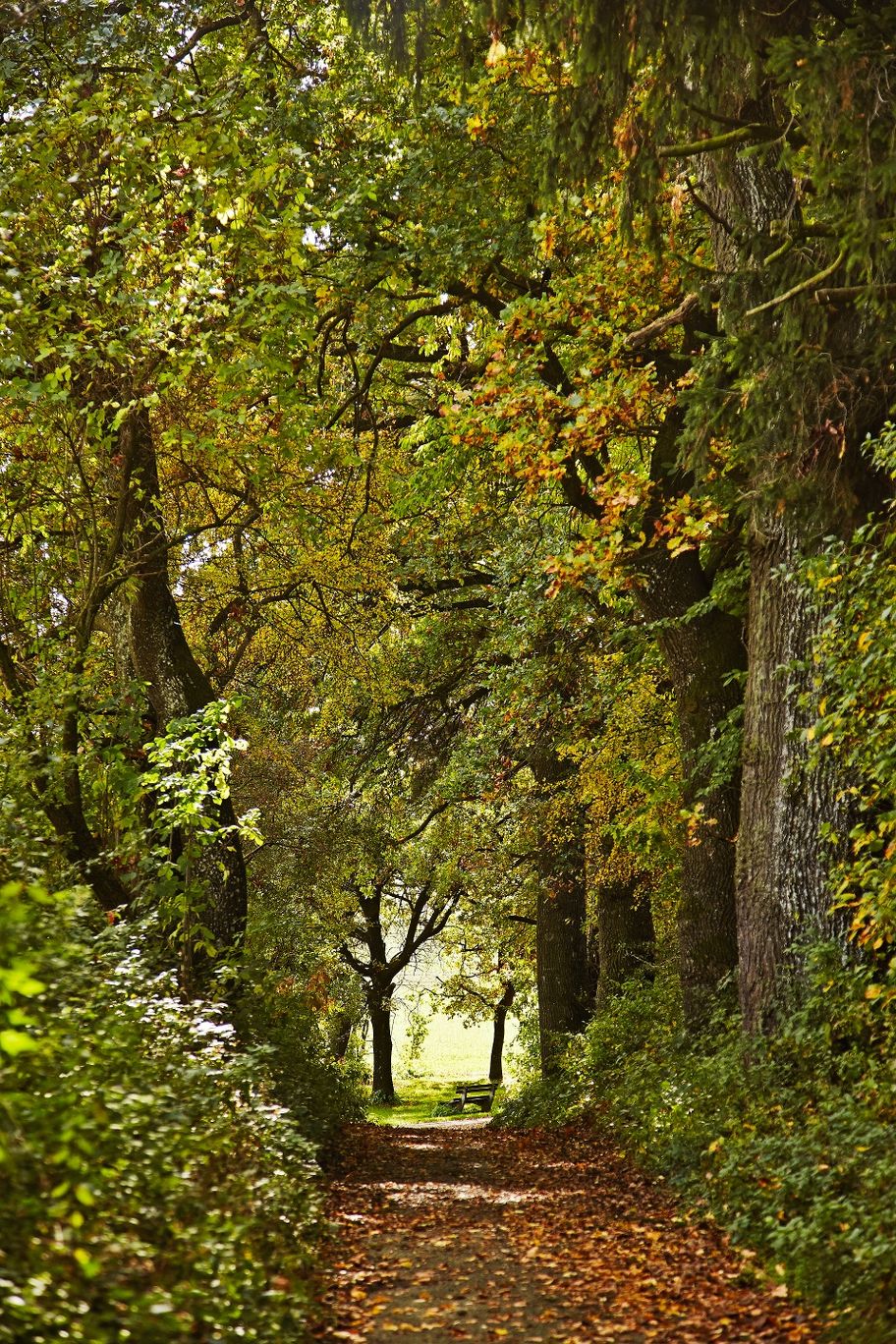Wanderung zum "Versunkenen Schloss"