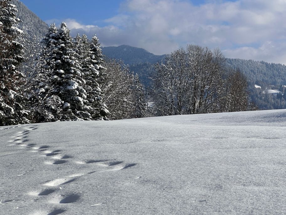 Winterspaziergang ab Blaichach entlang der Iller
