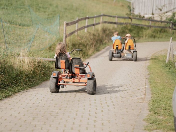 33 Dinocar Wettrennen