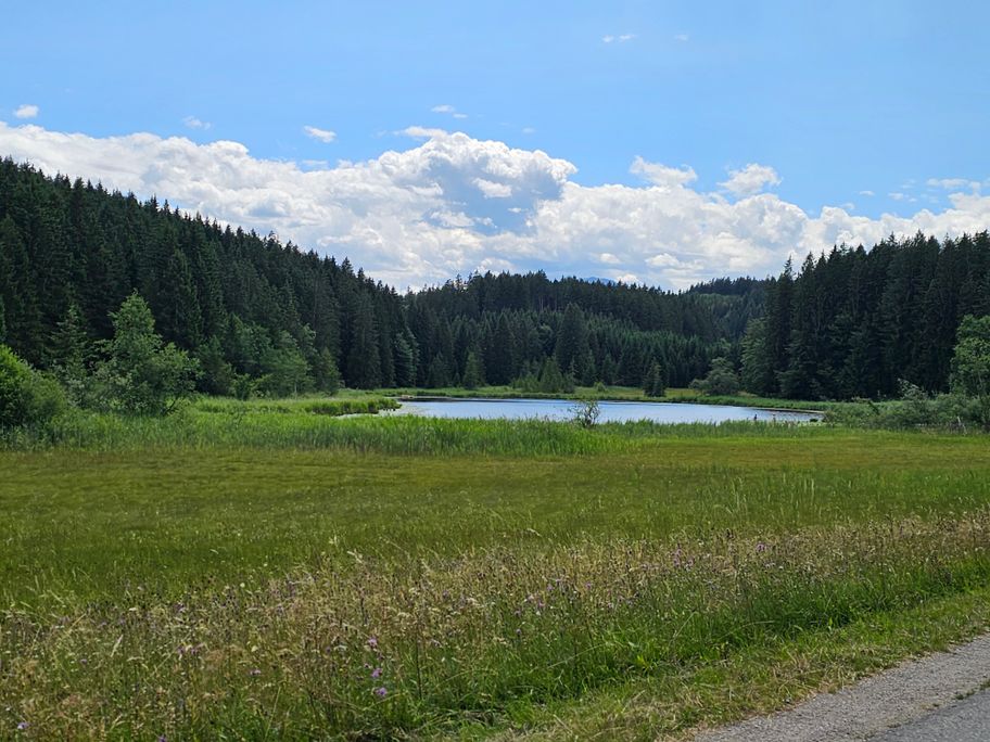 Faulensee und Hopferwald