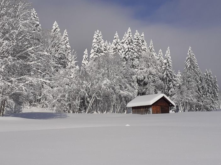 Winterlandschaft