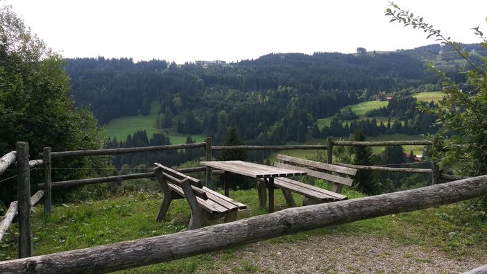 Am Wanderweg "Schönes Buch"