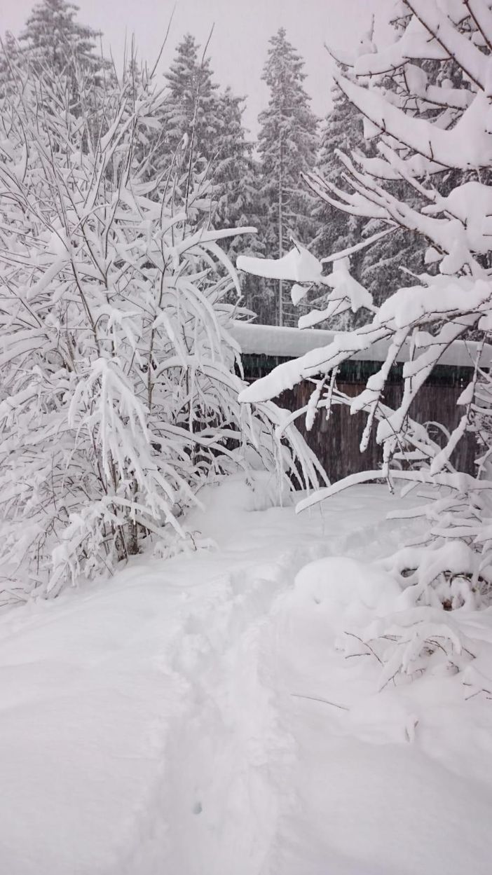 Eiszeit