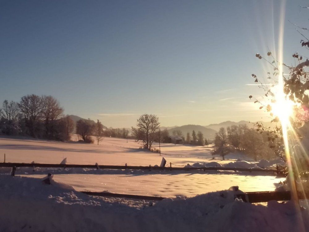 91fd83a7-4bb5-4ec2-b6fe-7a21b628d00d