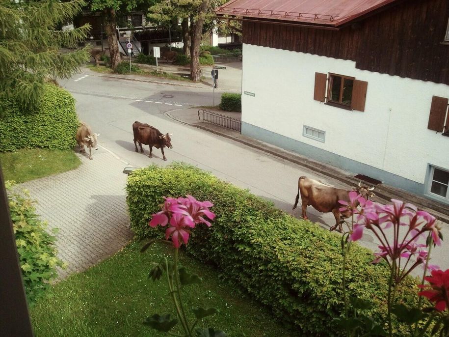 Ausblick vom Balkon4