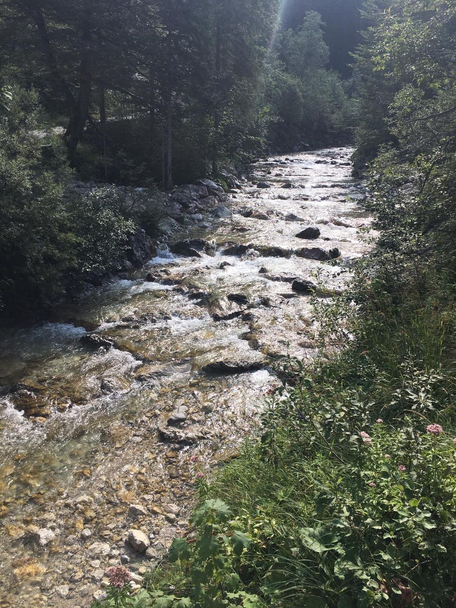 Wanderweg entlang des Wanderwegs