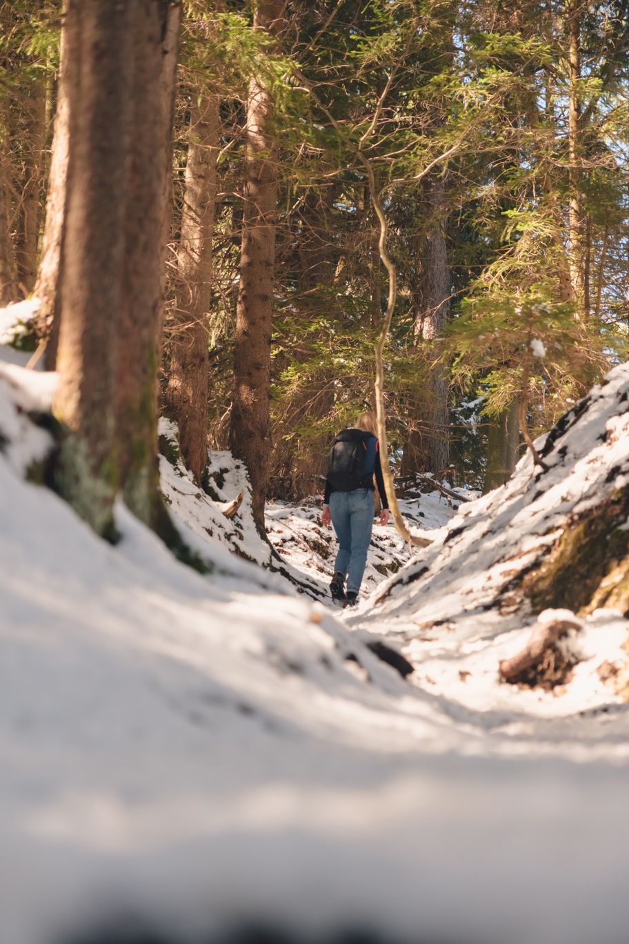 Winterlicher Waldweg bei Gschwend