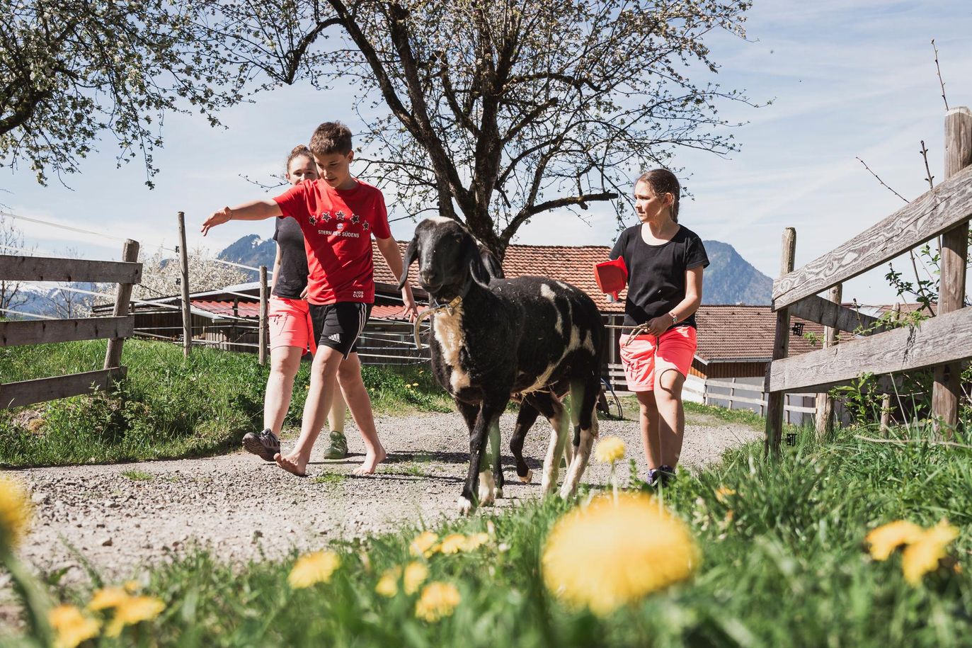 10 - 20240414-_DSC3697