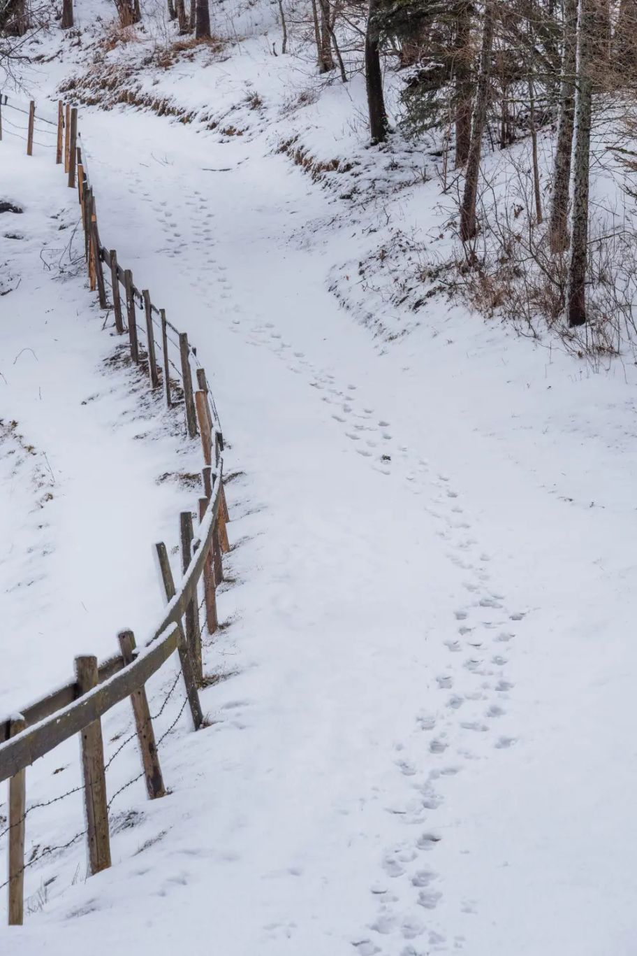 Verschneiter Wanderweg mit starker Steigung zur Ruine Hohenfreyberg.