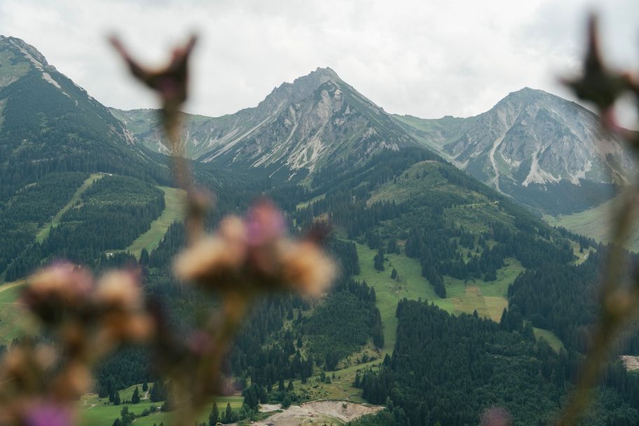 Berge im Tannheimer Tal