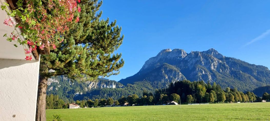 IMG-20211001-WA0006 (2)