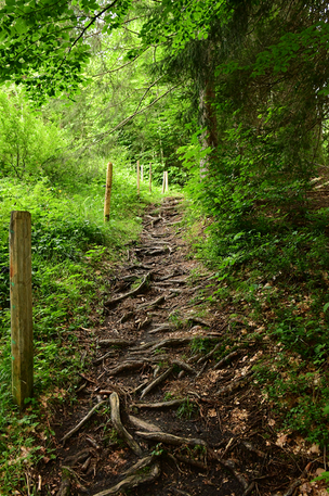 Naturpark Nagelfluhkette