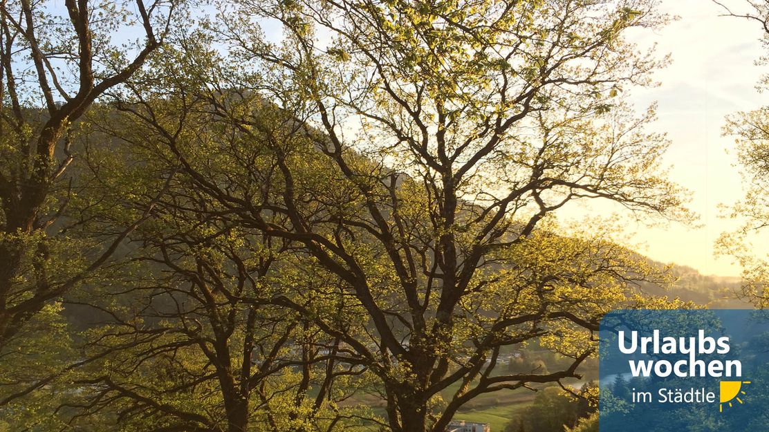 Grählweg Urlaubswochen