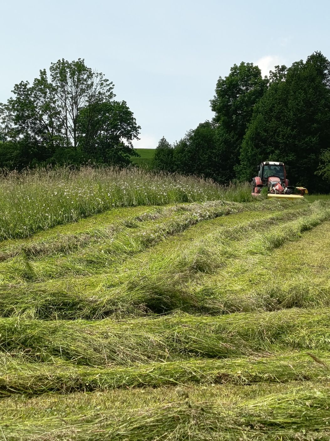 Die Heuernte beginnt