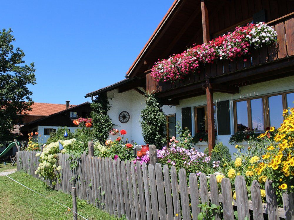 Blick über den Gartenzaun