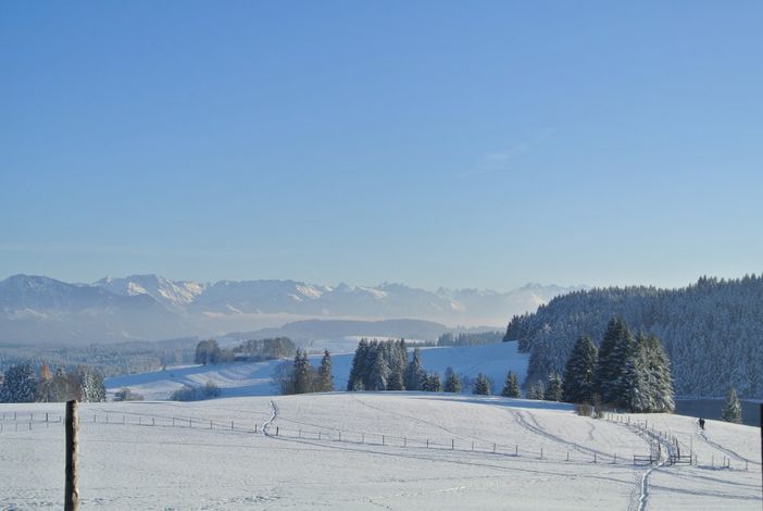 Eschacher Weiher