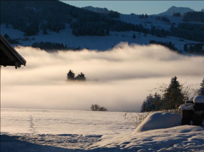 Rottachsee im Nebel