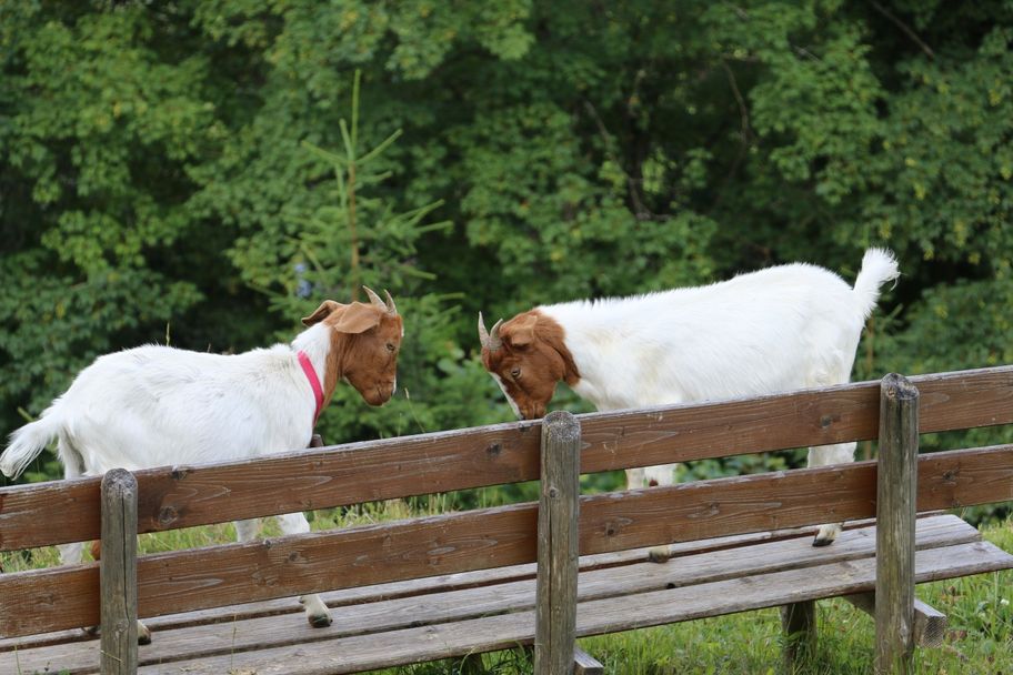 Diese Bank ist besetzt :)