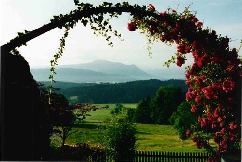 zimmerblick