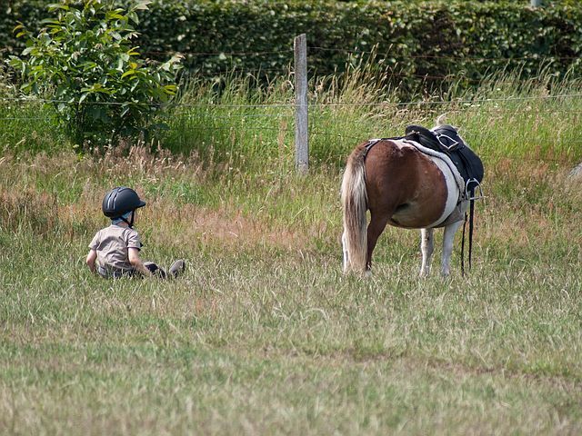 Reiten