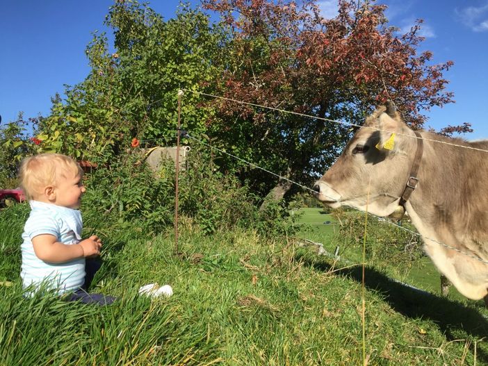 Unsere Mitbewohner im Sommer