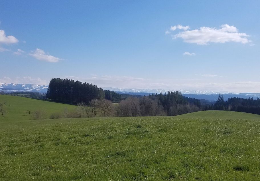 Bergsicht bei Zurwies