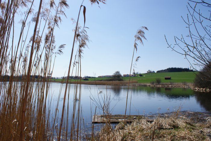 Sachsenrieder Weiher