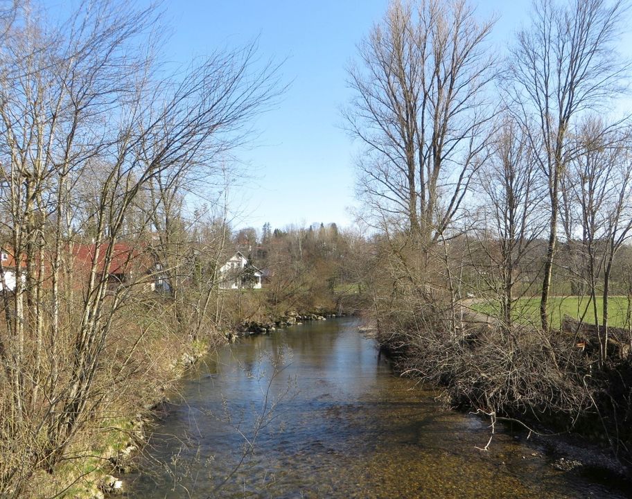 Die Obere Argen beim Scherrichmühlweg