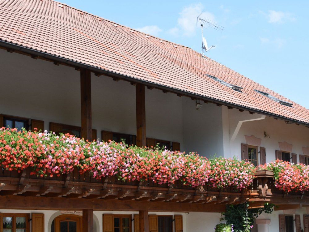 bilder kamera neu 352