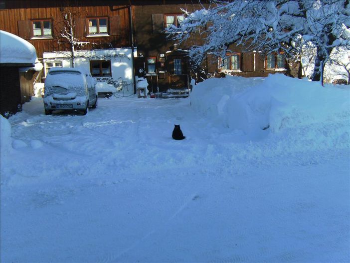 Schnee satt!