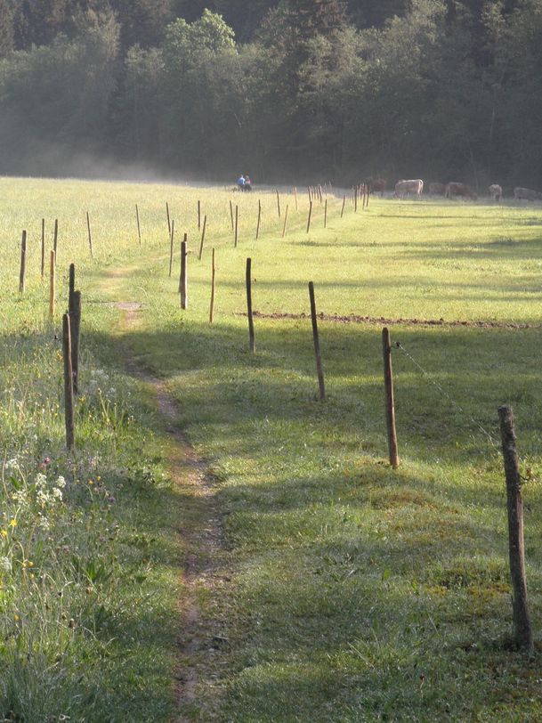 Stille Wiesen an der Wertach