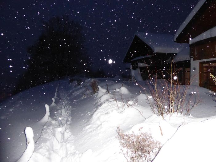 Winterimpressionen auf der Terrasse