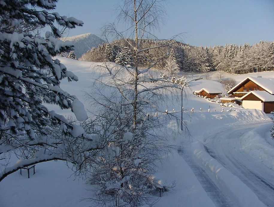 Blick vom Balkon