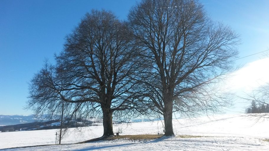 typische allgäuer Voralpenlandschaft bei Wiggensbach im Winter